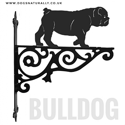 English Bulldog Ornate Wall Bracket